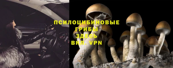 spice Лихославль
