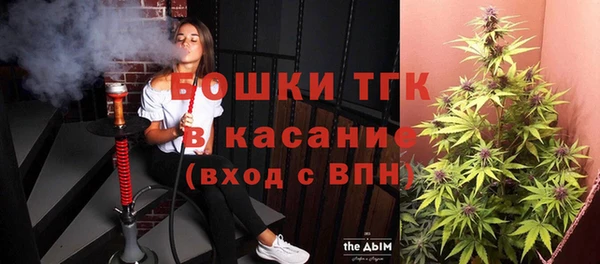 дживик Липки