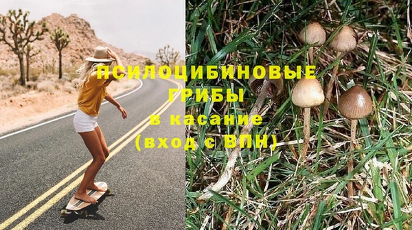 бошки Лиски